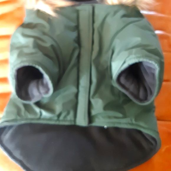North Fetch Athletics Dog Parka - Picture 3 of 15